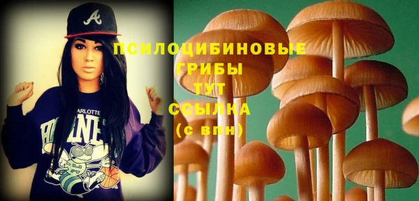соль ск Алексеевка
