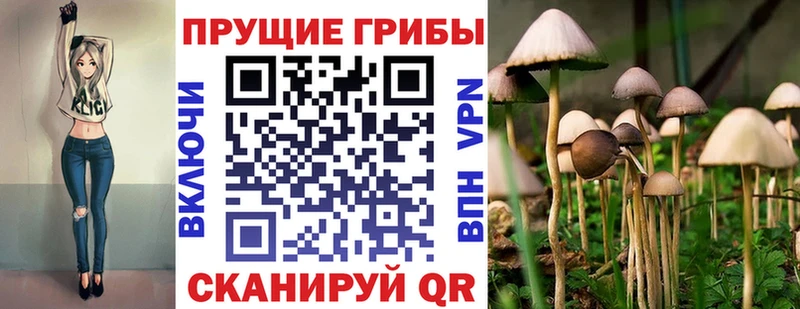 Галлюциногенные грибы Psilocybe  Ревда 